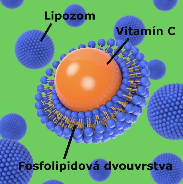 Lipozom se zapouzdřenou molekulou vitamínu C
