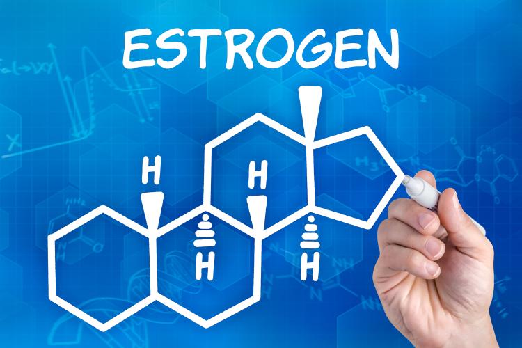 estrogen-vzorec.jpg