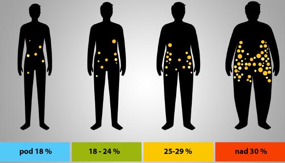 Obrys postavy člověka v různém stupni BMI (Index tělesné hmotnosti)