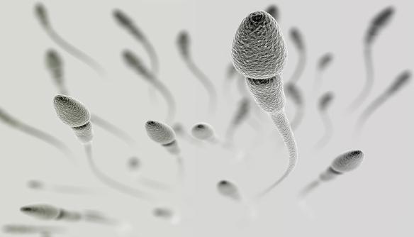 Nízka hladina testosterónu ovplyvňuje aj kvalitu spermií.