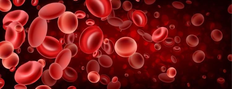 Lipozóm ukrývajúci v sebe céčko sa pohybuje krvou a vyhľadáva bunky, ktoré vitamín vyžadujú.